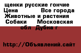 щенки русские гончие › Цена ­ 4 000 - Все города Животные и растения » Собаки   . Московская обл.,Дубна г.